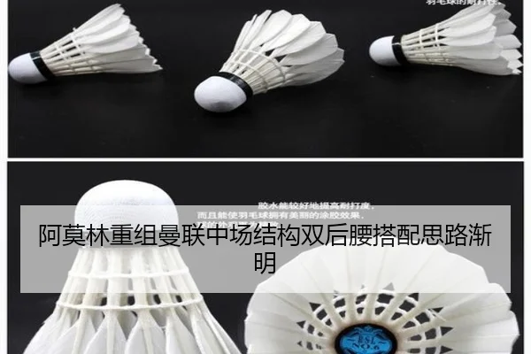 阿莫林重组曼联中场结构双后腰搭配思路渐明 - Kaiyun